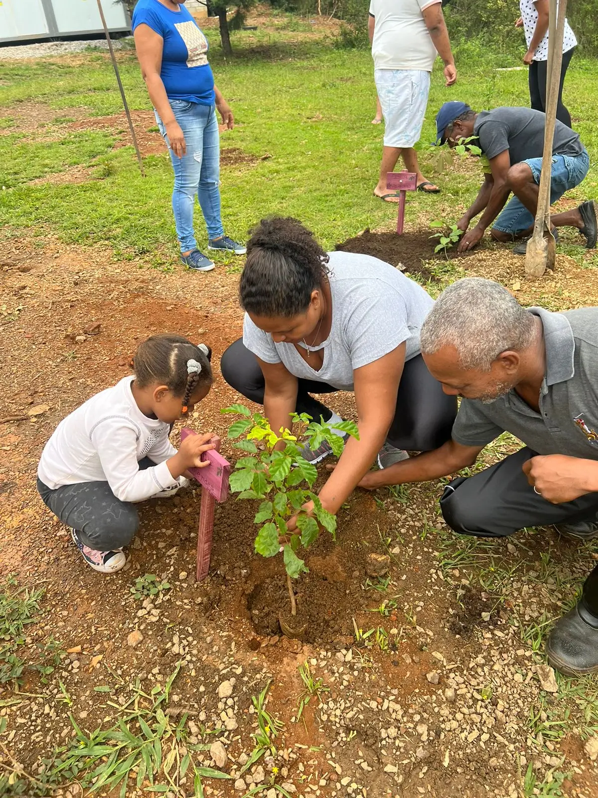 Ação Ambiental na Comunidade